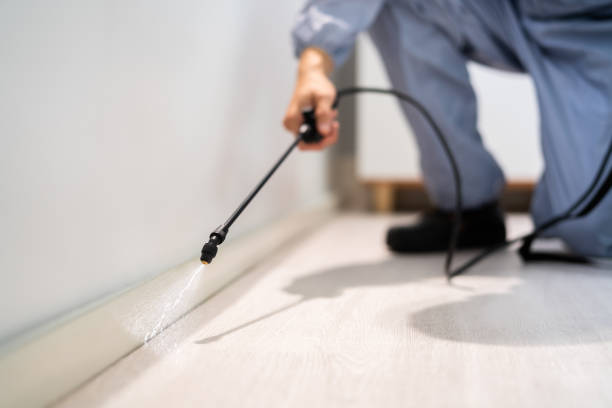 Licensed Termite Control service in King George County County, VA - Nex Pest Control